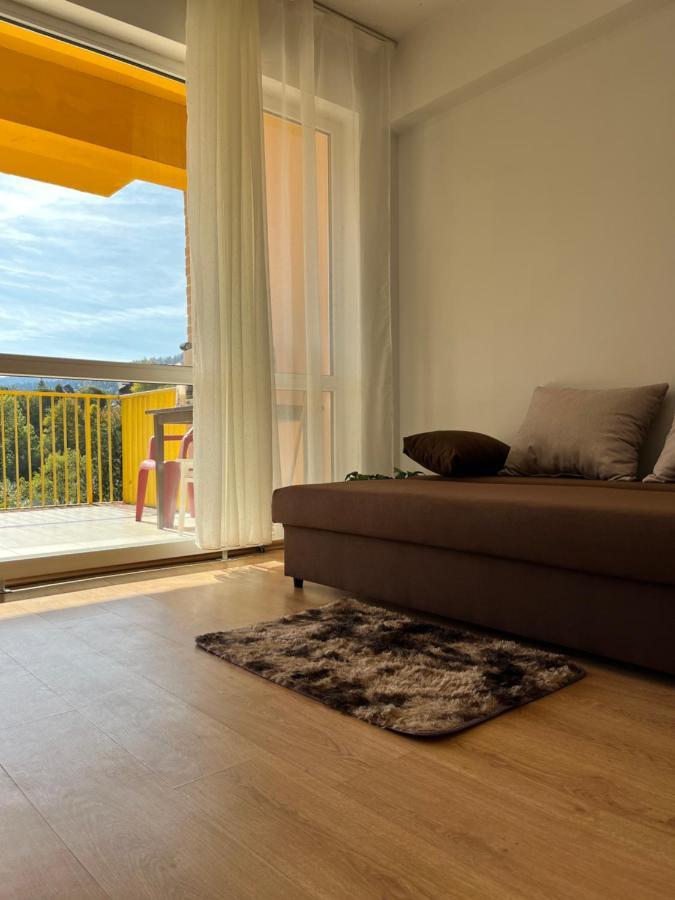 Anissia Apartament Apartment Sinaia Exterior photo